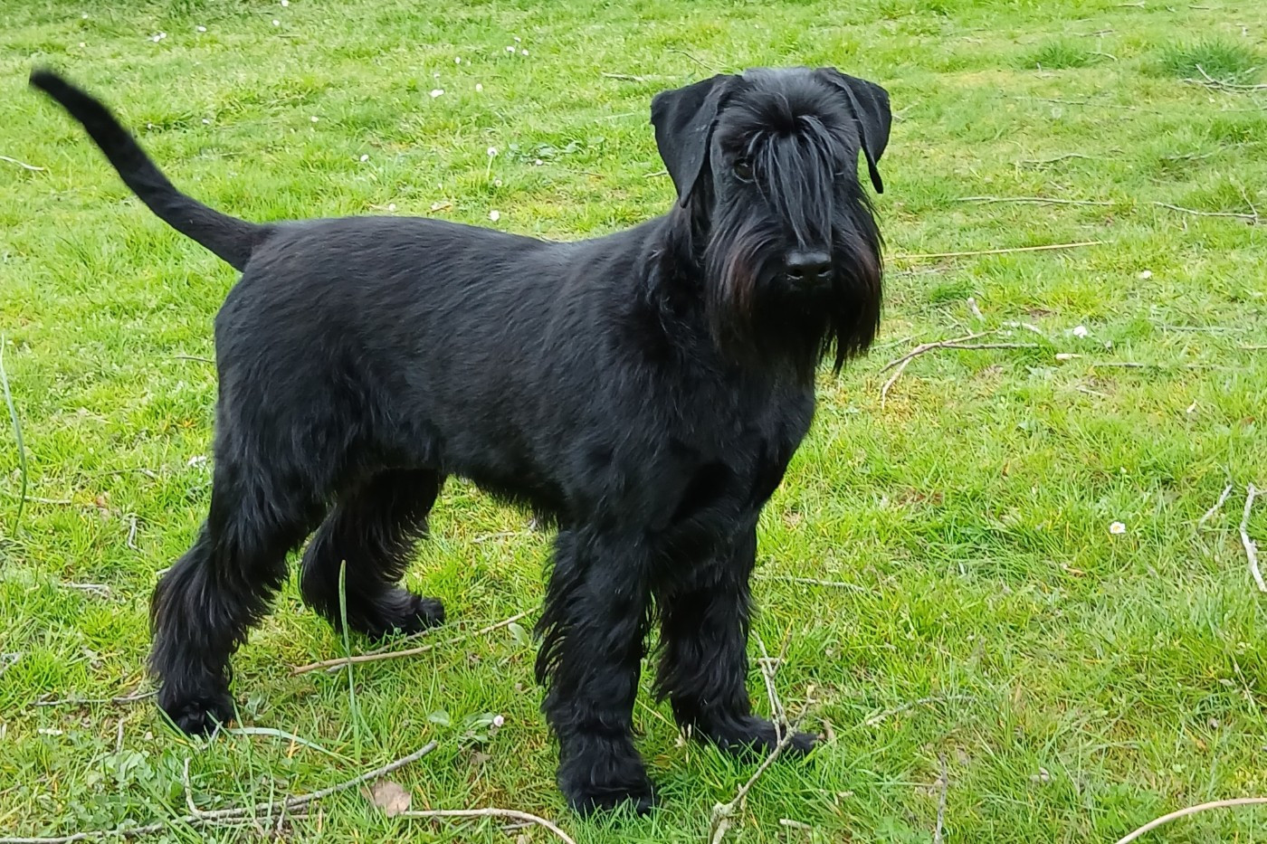 UKO dite YUKO (Sans Affixe)